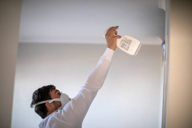 Best Residential Mold Removal  in Schenectady, NY