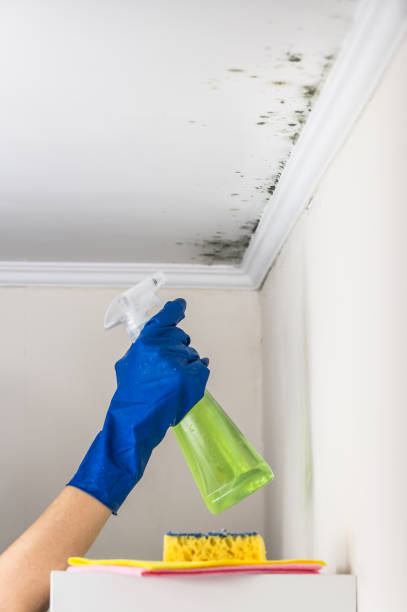 Best Crawl Space Mold Removal  in Schenectady, NY